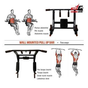 *Wall Mounted 2 in 1