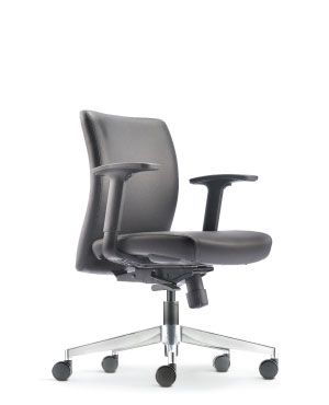 NEXUS ERGO EXECUTIVE LOW BACK CHAIR WITH ARM - ER5512L-10D36