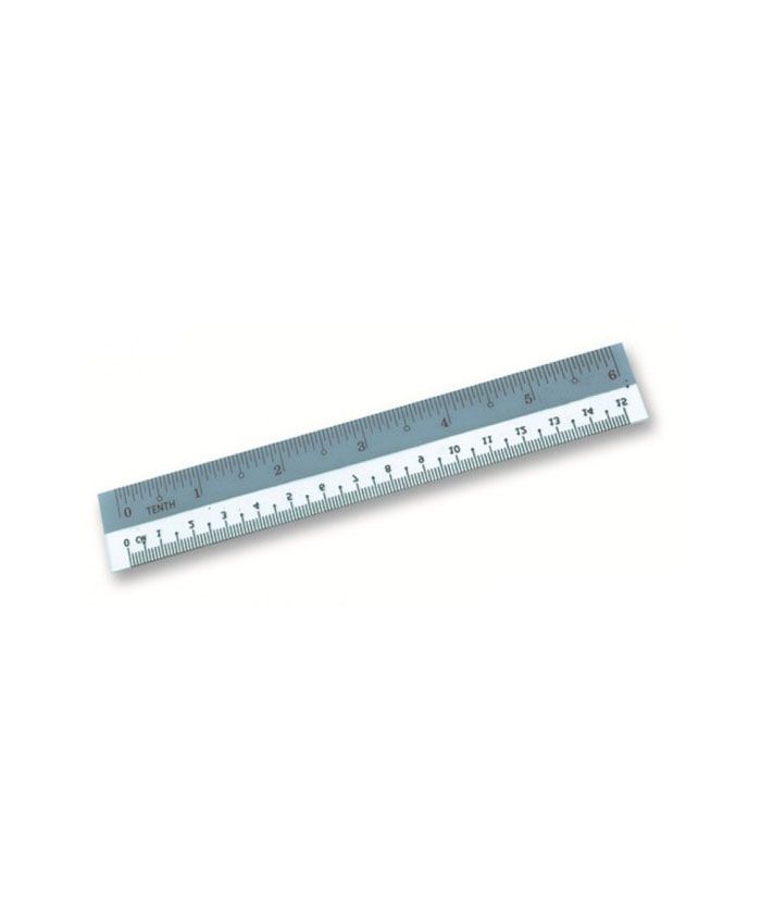 QP Ruler 6"