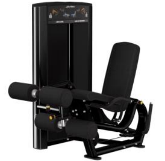 LIFE FITNESS DUAL STATION AXIOM SERIES LEG EXT / CURL