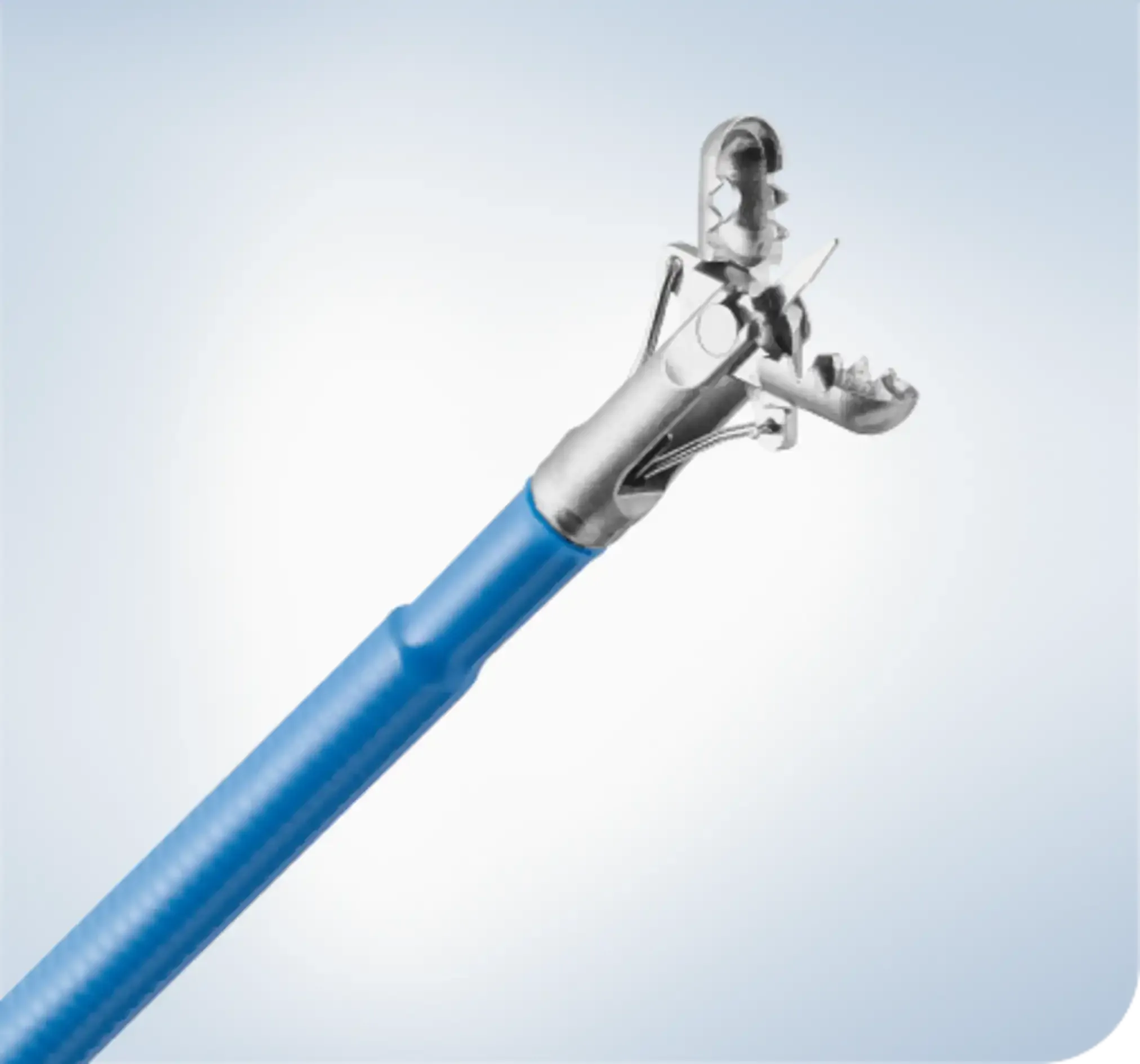 OLYMPUS FB-221K (20PCS/SET) SNGL. USE BIOPSY FOR