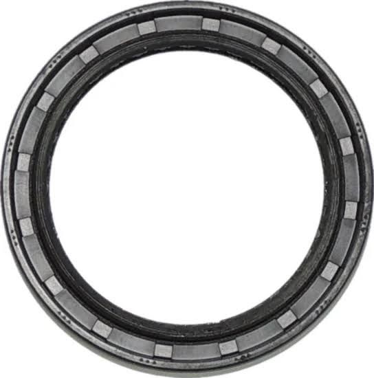 RR oil seal in