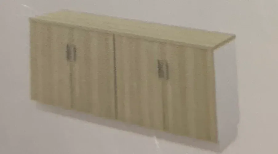 DUAL SWINGING DOOR LOW CABINET 2