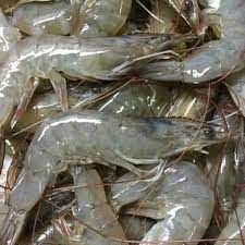 Udang Besar 1KG