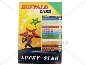 Fancy Card A4 230gm