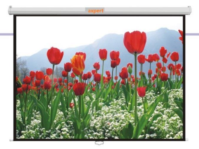 AXPERT WALL SCREEN (WHITE STEEL CASING)