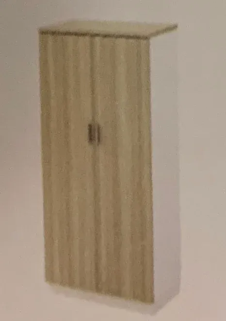 SWINGING DOOR MEDIUM CABINET 2