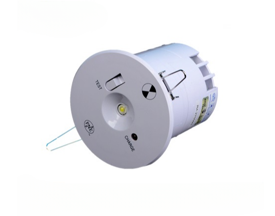 PNE PTH-311 1X1.0W POWER LED SELF-CONTAINTED EMERGENCY LIGHT