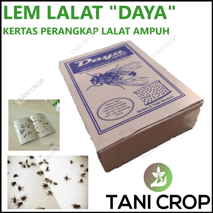 Kertas perangkap lalat (10 keping/pack)
