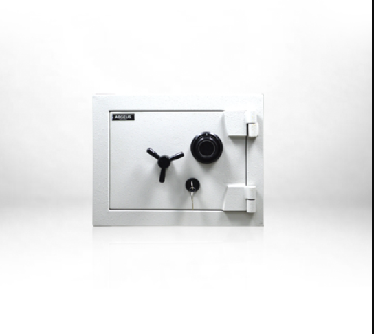 AEGEUS AEGIS S1 HOME SAFE 160KG
