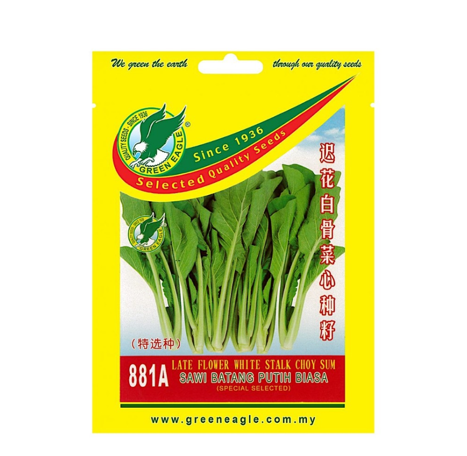 GE 881A Late Flower White Stalk Choy Sum Seed/ Sawi Batang Putih Biasa Benih (10gm)