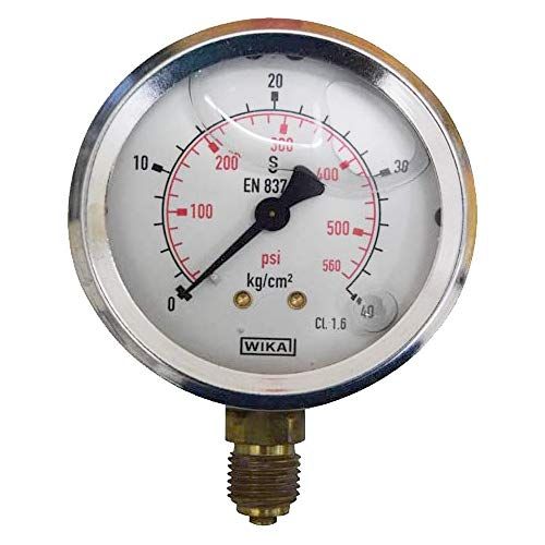 Wika 232.50.100 Pressure Guage