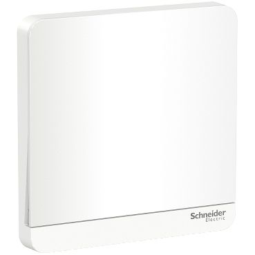 Schneider Electric 16AX 250V 1 Gang Intermediate Switch