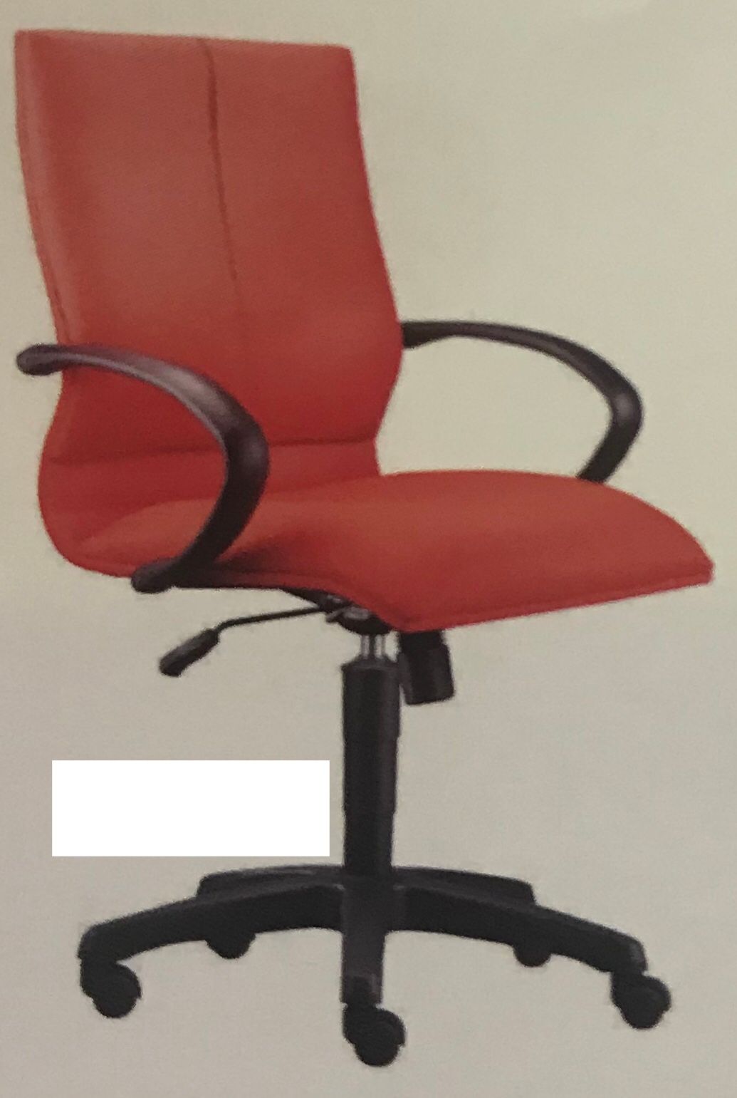 EARTH LOW BACK CHAIR