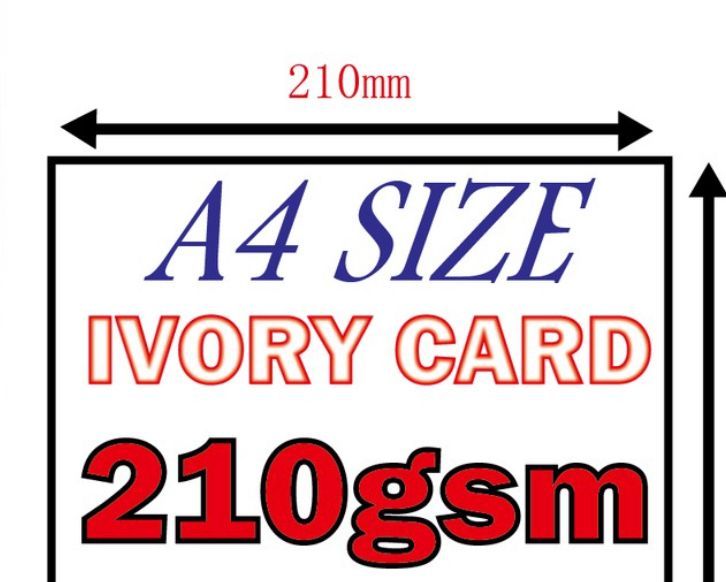Ivory card A4 Size 210gsm/100pcs