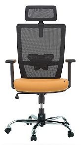 hs HighBack Chair Ergonomic