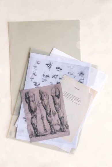 LIONFILE L / U / C-SHAPE A4 TRANSPARENT PLASTIC FOLDER - 24PCS/PACK