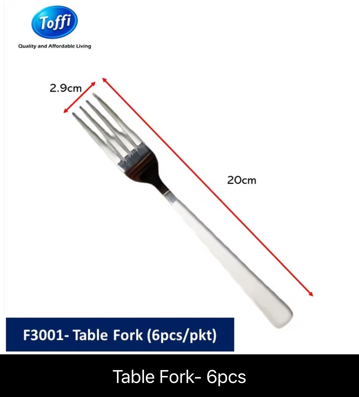 Fork Stainless Steel 6pcs - (For Event)