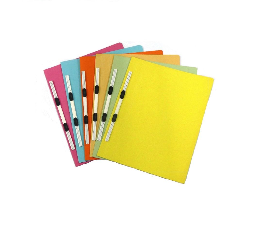 BEELINE FLAT FILE /PAPER FILE