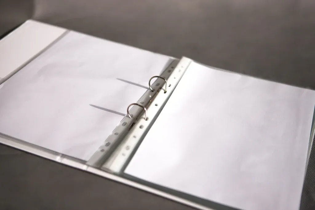 LION SHEET PROTECTOR (CLEAR) FILE A4 PP 60 MICRON