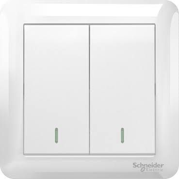 Schneider Electric 10AX 250V 2 Gang 2 Way Switch
