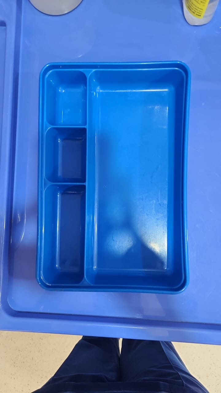 Plastic Instrument Tray