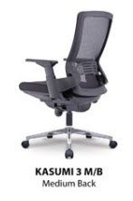 Classic Mesh Medium back chair
