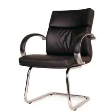 Safari Visitor Chair DELTA - DT 933