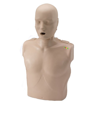 CPR Training Mannequin