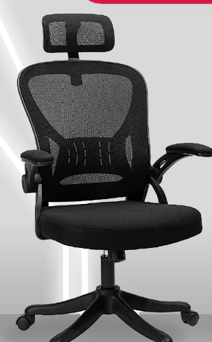 Deli Ergonomic Mesh Executive Chair