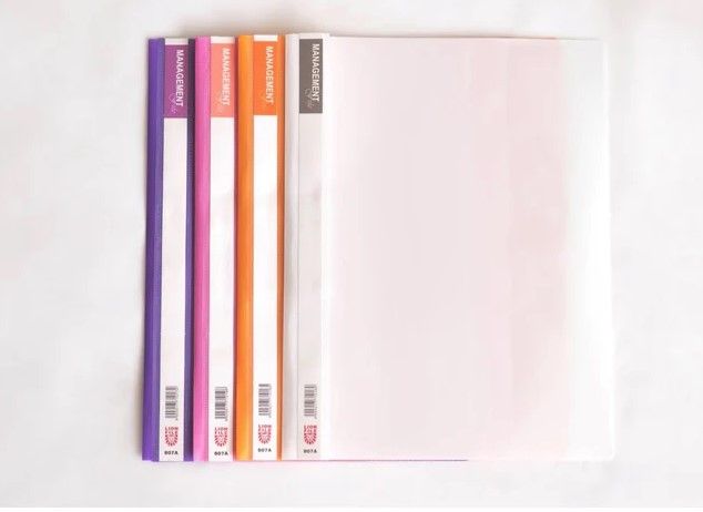 LION FILE MANAGEMENT AND PRESENTATION FILE - ASSORTED FRUITY COLOUR