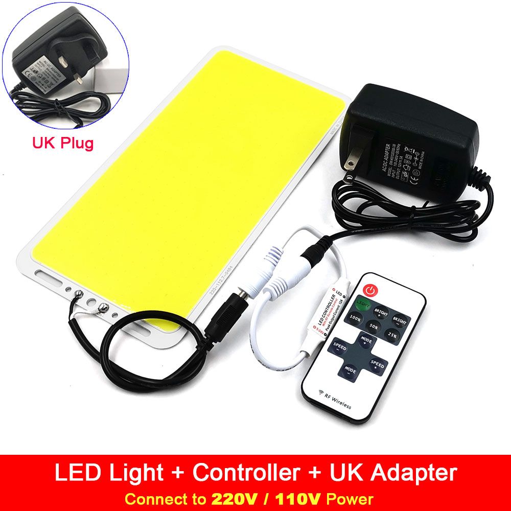 220x113mm 12V 24V 100W Super Bright COB LED Panel Light with Remote Controller Dimmer Car Lighting Outdoor Camping Lights Warm (COB Dimmer Adapter 24V Cold White)
