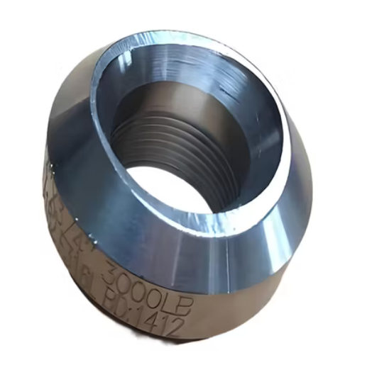 2" P91 Pipe Socket