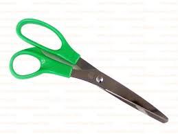 Ringo 8" Stainless Steel Scissor
