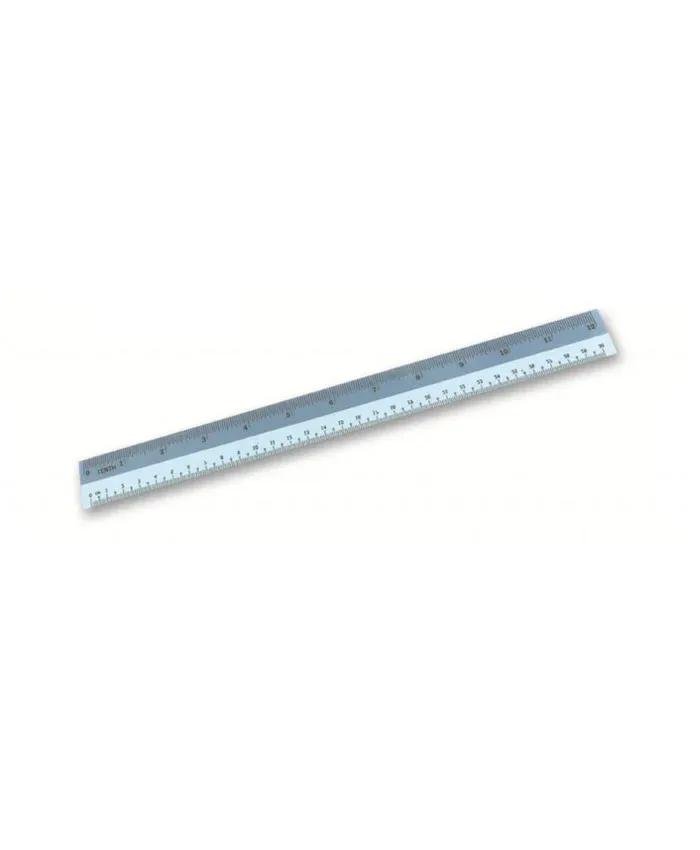 PLASTIC RULER (30CM)