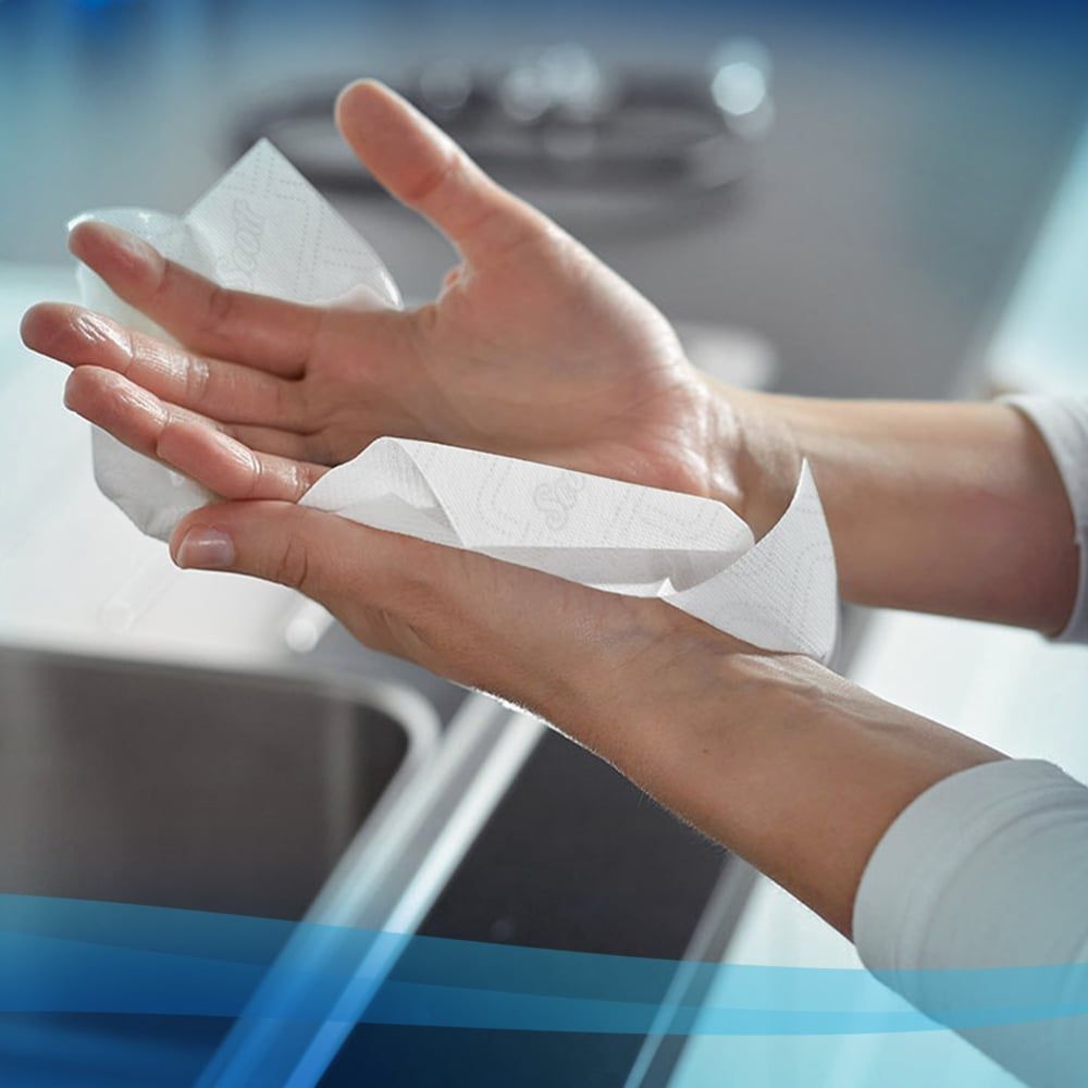 Scott庐 Printed Hard Roll Paper Towels (86224), 6 Rolls / Case