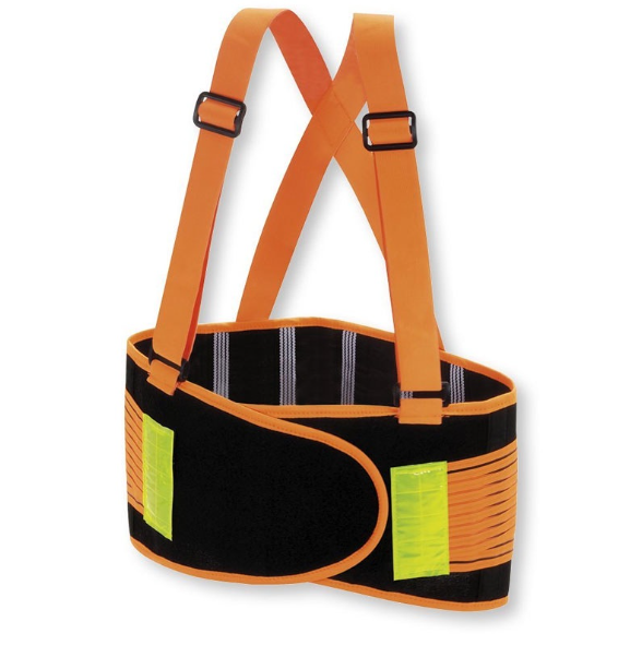 Proguard Lifting Support Belt LSB(R) 
