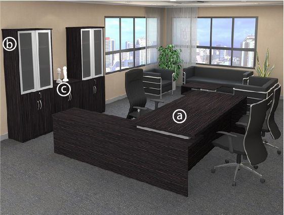 OFIS MARS 520 SERIES DIRECTOR DESK _ THUJA LIGHT