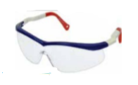 Temo Safety Spectacles - Fieldwork Purpose