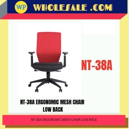 NT Executive Ergonomic LOW BACK MESH CHAIR / MODEL : NT-38A / PP BASE LEG / Executive / Office Chair