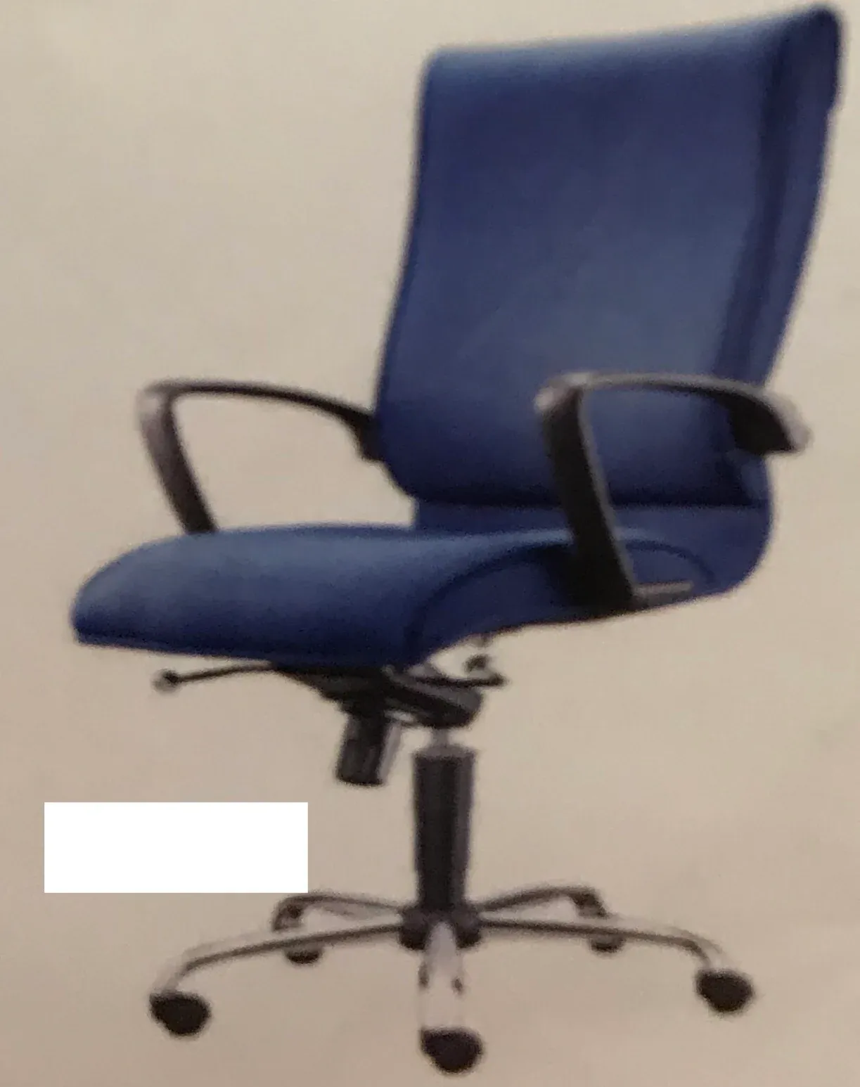EUPHORBIA MEDIUM BACK CHAIR