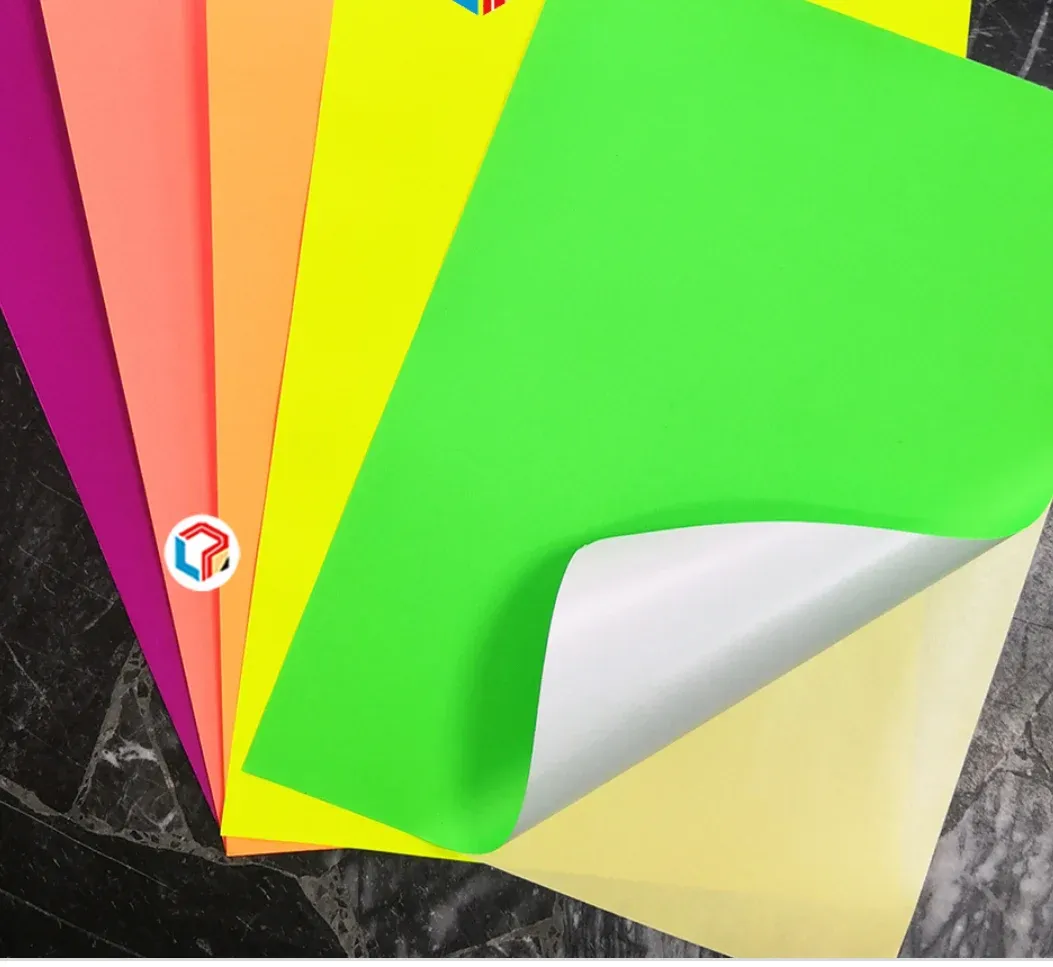 A4 colour sticker 10 sheet