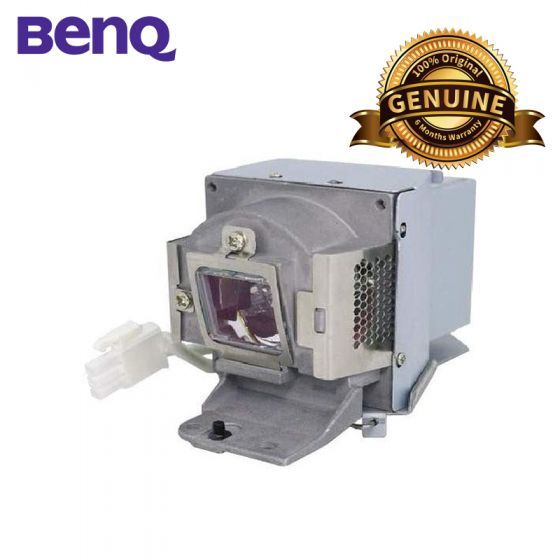 Benq Ballast & Lamp