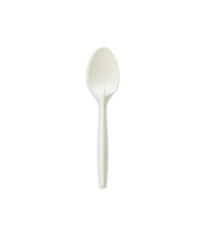Plastic Spoon