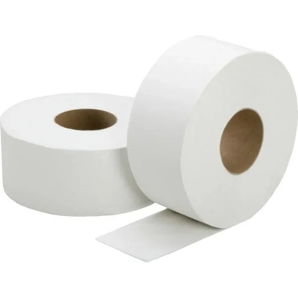 SCOTT JRT SCOTT 16ROLLS250M 2PLY