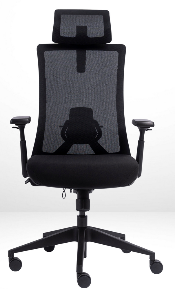 ANEW Kinetic Ergonomic Chair | Premium Ergonomic Chair Office Kerusi Pejabat Selesa