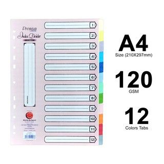 PREMIUM CAMPAP INDEX DIVIDER 12COLOURS CA 4903