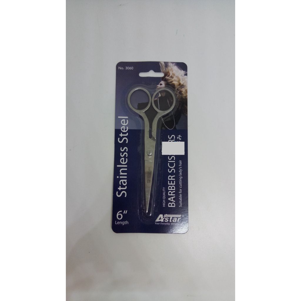 6" Stainless Scissors