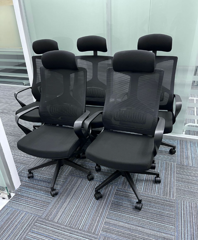 Ergonomic Chair With C/W Nylon Leg Rest