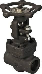 NEWAY *NEWAY Gate Valve 3/4 in-NWG8NA105N8-020